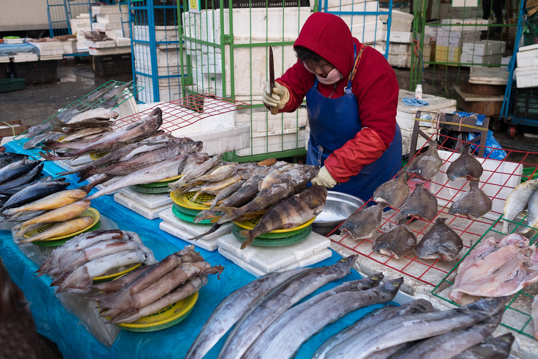 A fish seller at Garak market's fish section.