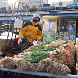 Garak market, Seoul.