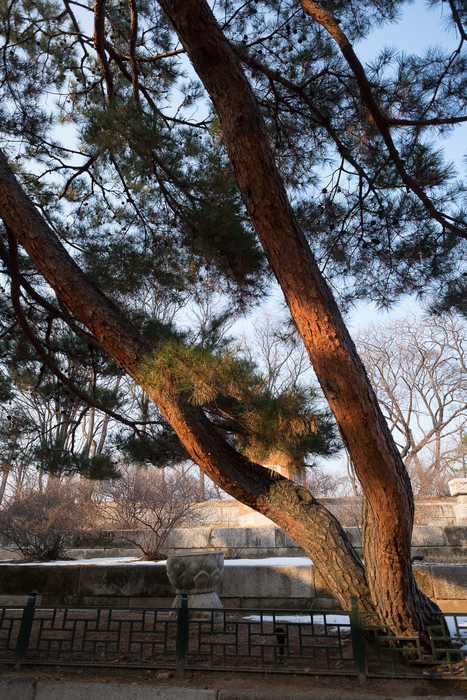 Gyeongbokgung palace, Seoul.