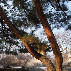 Gyeongbokgung palace, Seoul.