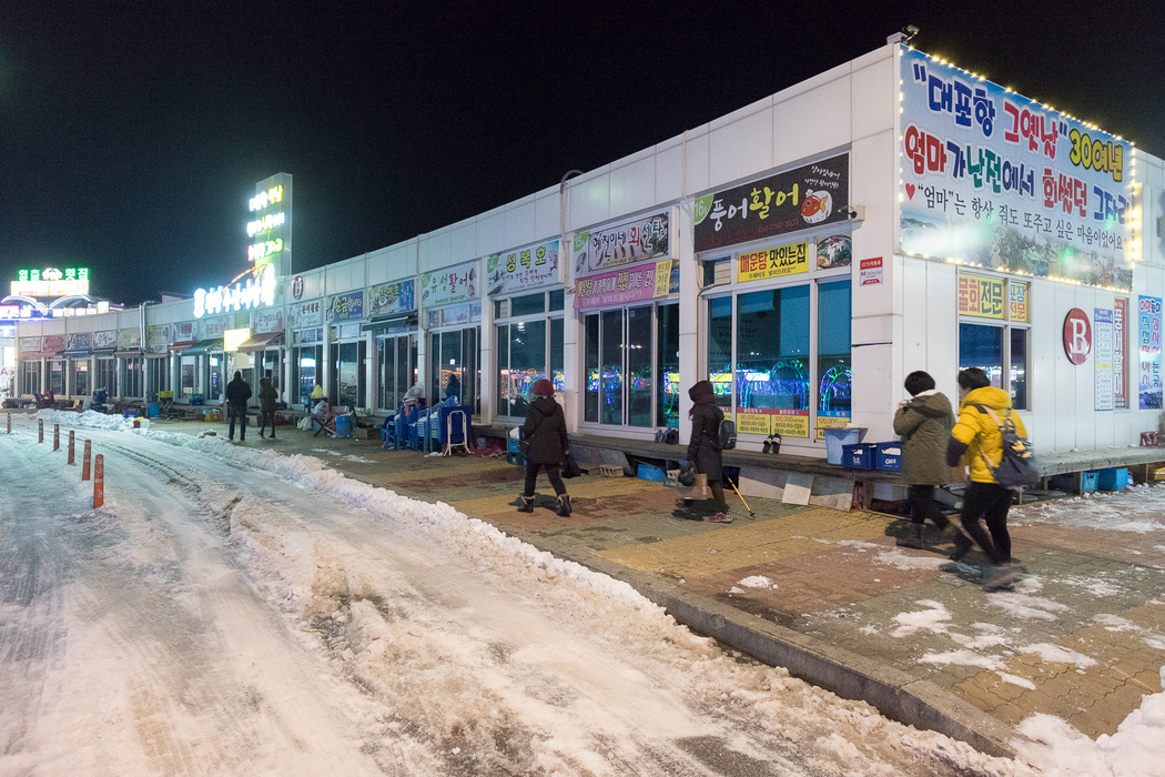 Fishmongers ring the harbour in Sokcho, metres away from where the boats land their catch.