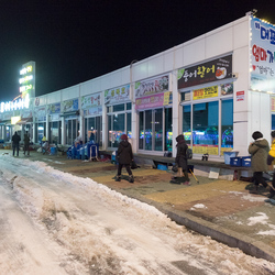 Fishmongers ring the harbour in Sokcho, metres away from where the boats land their catch.