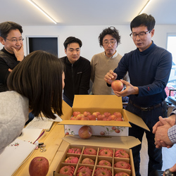 Son Ki-hong explains the apple project's approach to the apples' stalks.