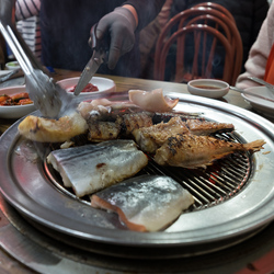 Grilled fish restaurant, Sokcho.