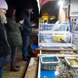 Helen, Marie, and Will admire the catch of the day.