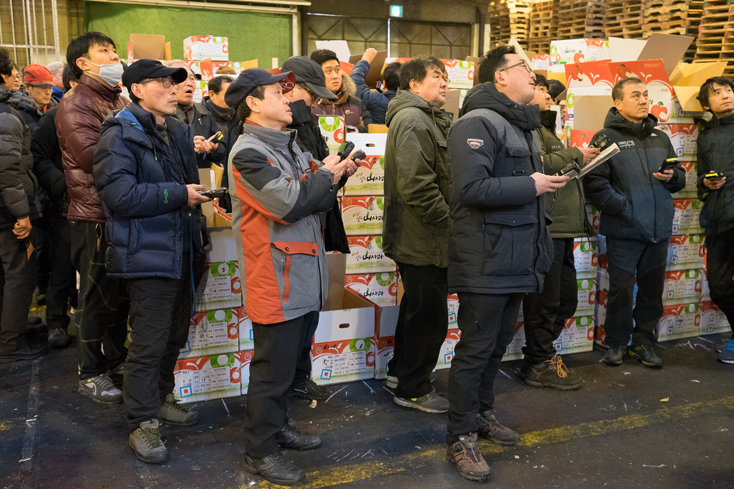 Buyers enter their bids on hand-held electronic devices at a fruit auction inside Garak Market, Seoul.