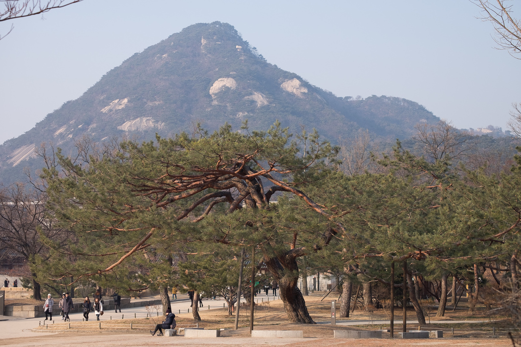 Gyeongbokgung palace, Seoul.