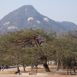 Gyeongbokgung palace, Seoul.