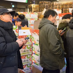 Buyers enter their bids on hand-held electronic devices at a fruit auction inside Garak Market, Seoul.