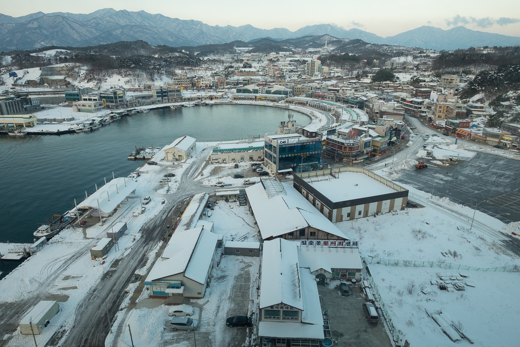 Sokcho's harbour in the dawn twilight.