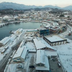 Sokcho's harbour in the dawn twilight.