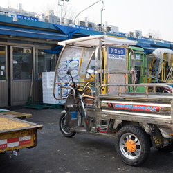 Garak market, Seoul.