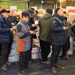 Buyers enter their bids on hand-held electronic devices at a fruit auction inside Garak Market, Seoul.