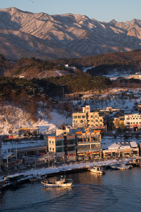 A boat docks in Sokcho harbour at sunrise.