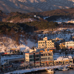 A boat docks in Sokcho harbour at sunrise.