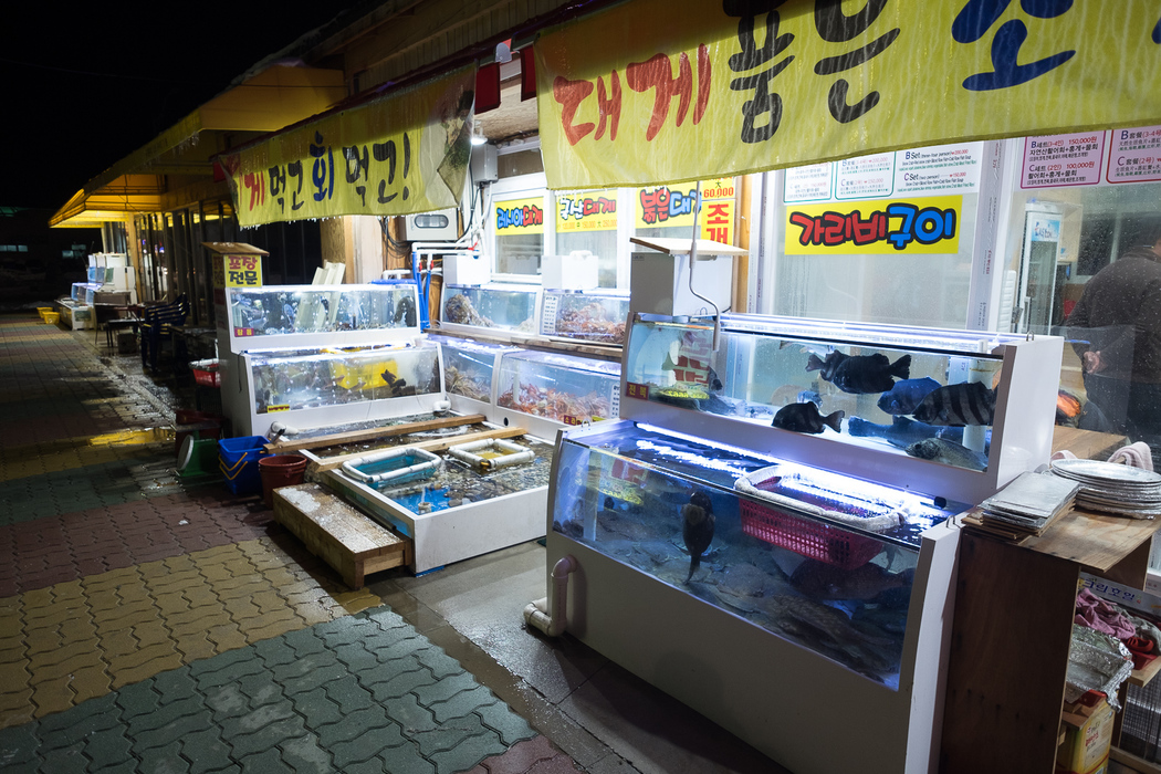 A fish seller in Sokcho, a town famed for its fresh fish.