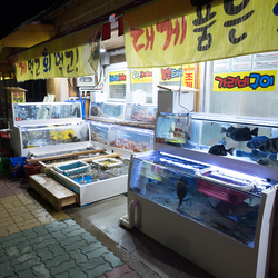 A fish seller in Sokcho, a town famed for its fresh fish.