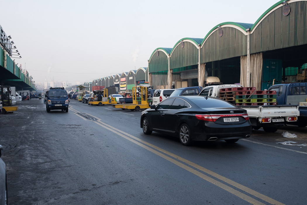 Garak market, Seoul.