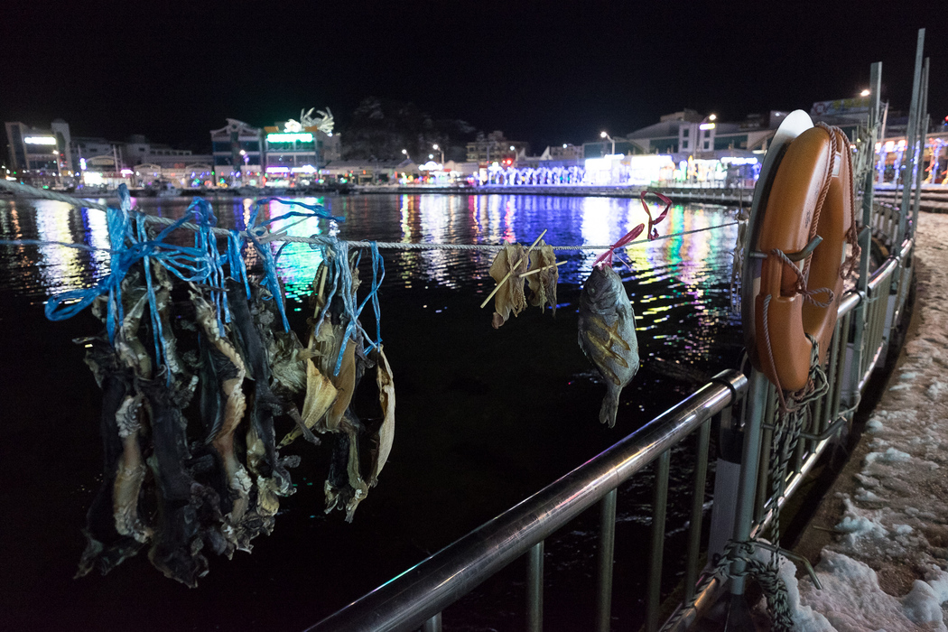 Fish drying in the freezing air, Sokcho.