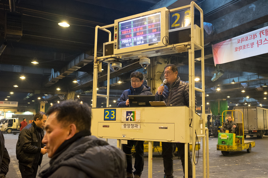 Auctioneers begin the sale of apples in the Garak market.