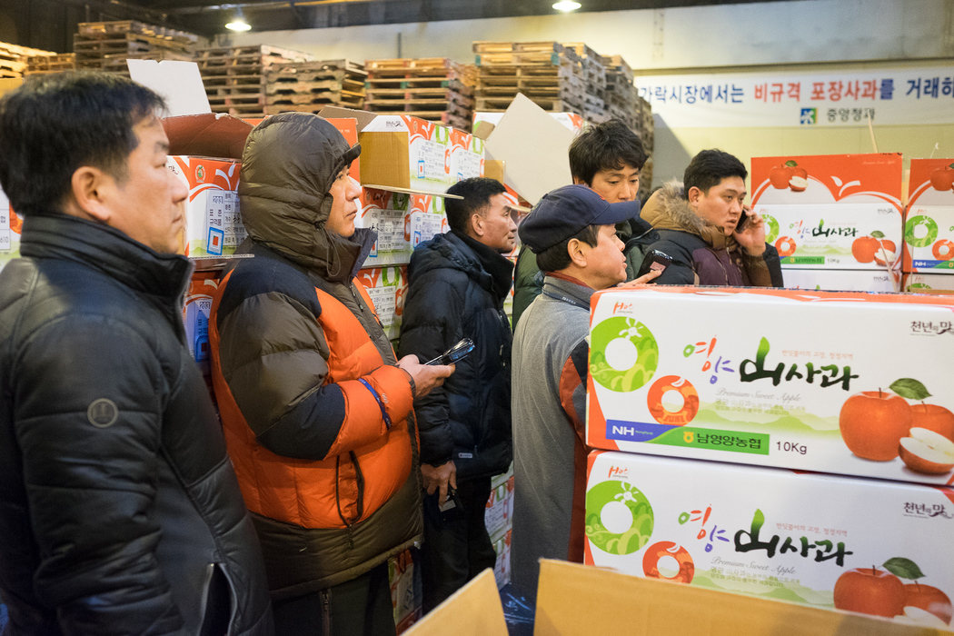 Buyers enter their bids on hand-held electronic devices at a fruit auction inside Garak Market, Seoul.