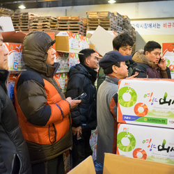 Buyers enter their bids on hand-held electronic devices at a fruit auction inside Garak Market, Seoul.