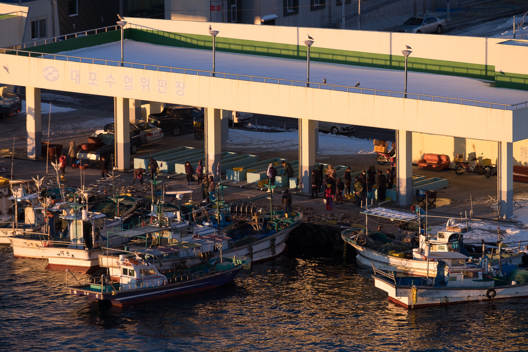 Fishermen prepare to launch, Sokcho.