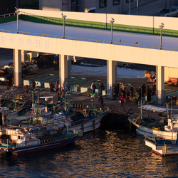 Fishermen prepare to launch, Sokcho.