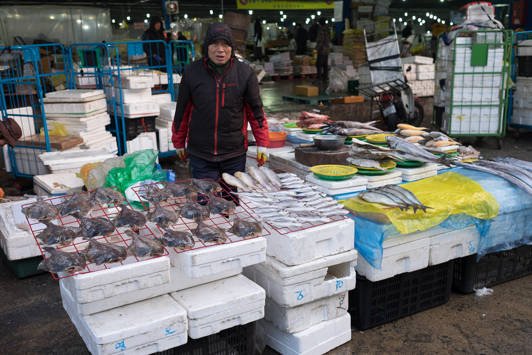 A fish seller at Garak market's fish section.