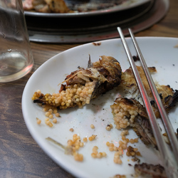 Grilled fish and its roe, Sokcho.